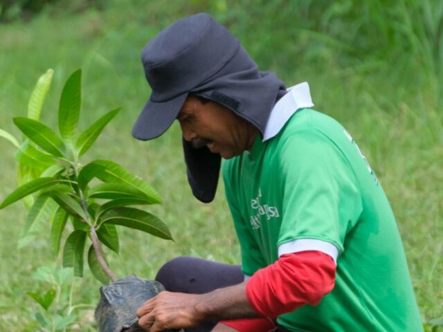 Kalbe tanam ribuan pohon di Kabupaten Wonogiri