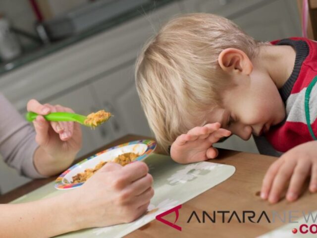 Nutrisionis: “Picky eater” beri dampak buruk pada tumbuh kembang anak