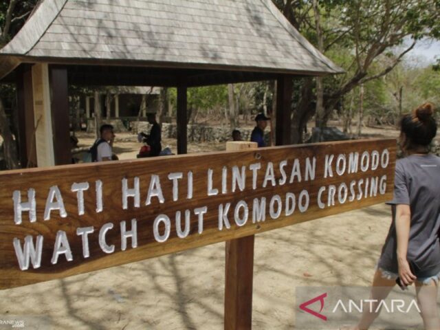 Pengamat: Kebijakan pariwisata perlu lihat posisi RI di mata dunia